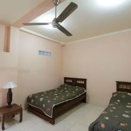 Citrus Tree - Arik Affittacamere *