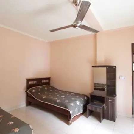 Citrus Tree - Arik Affittacamere *