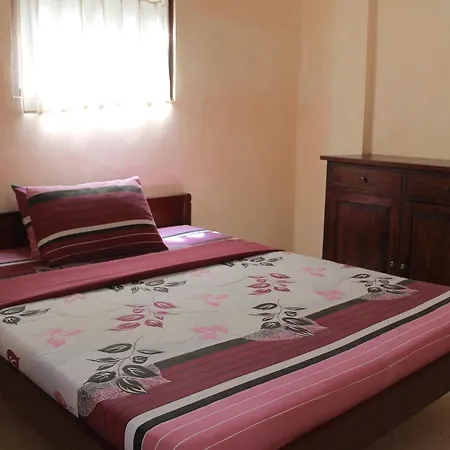 Affittacamere Citrus Tree - Arik *