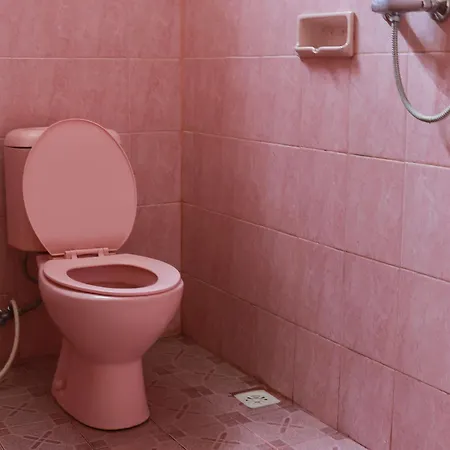 Affittacamere Citrus Tree - Arik *