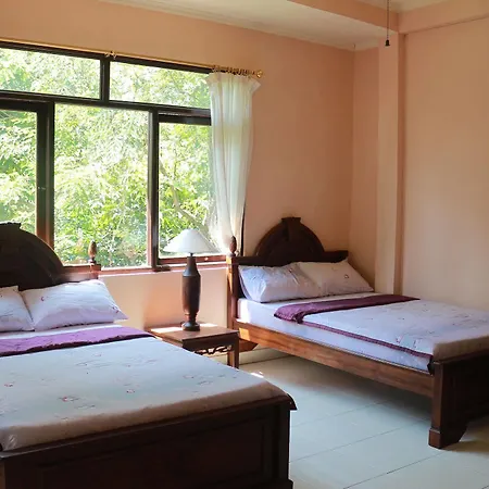 Vendégház Citrus Tree - Arik