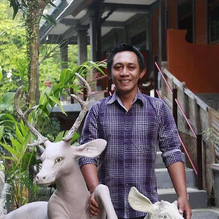 Affittacamere Citrus Tree - Arik *