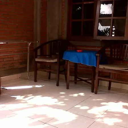 Citrus Tree - Arik Affittacamere