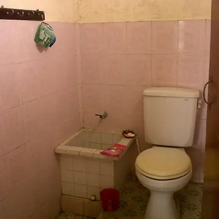 Affittacamere Citrus Tree - Arik Ubud