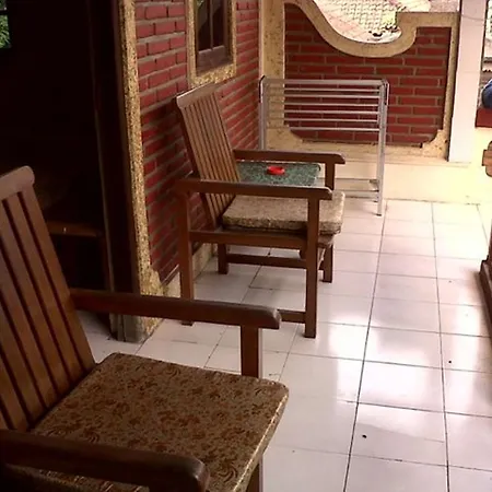 Citrus Tree - Arik Affittacamere