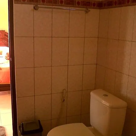 Citrus Tree - Arik Affittacamere *