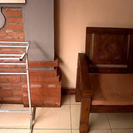 Citrus Tree - Arik *