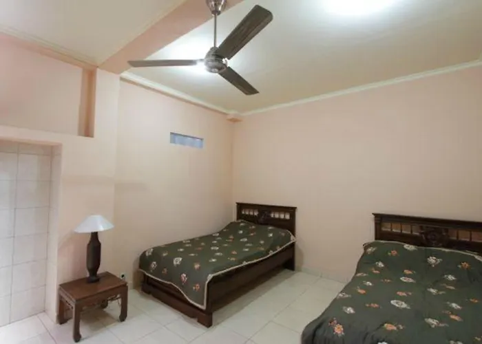 Citrus Tree - Arik Pensionat *