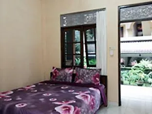 Pensionat Citrus Tree - Arik