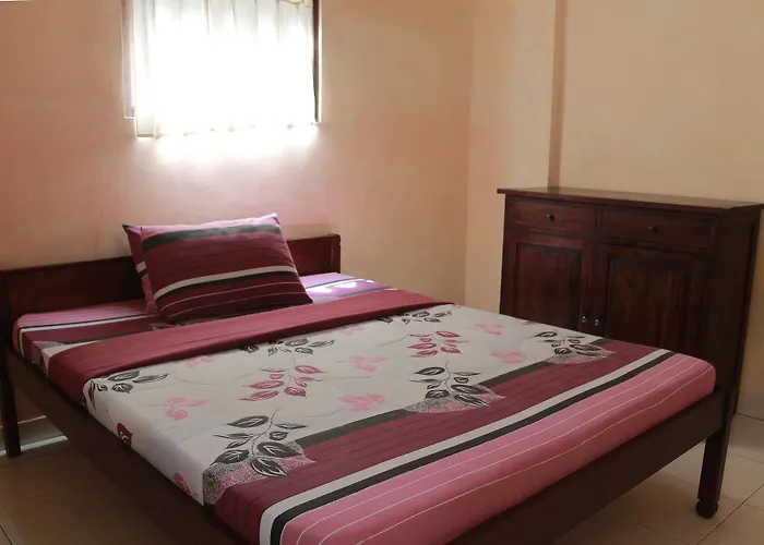 Гостевой дом Citrus Tree - Arik *