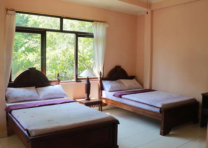 Pensionat Citrus Tree - Arik