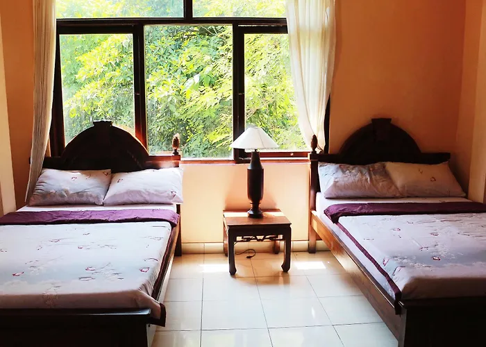 Citrus Tree - Arik Убуд