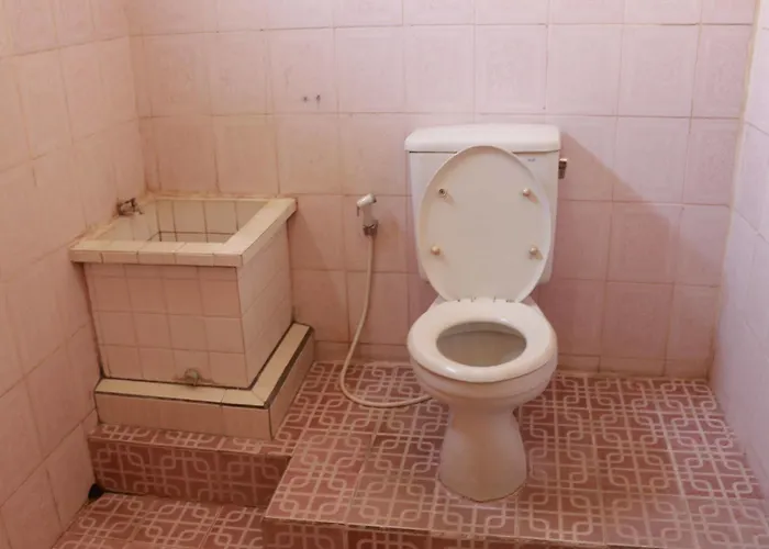 Citrus Tree - Arik *