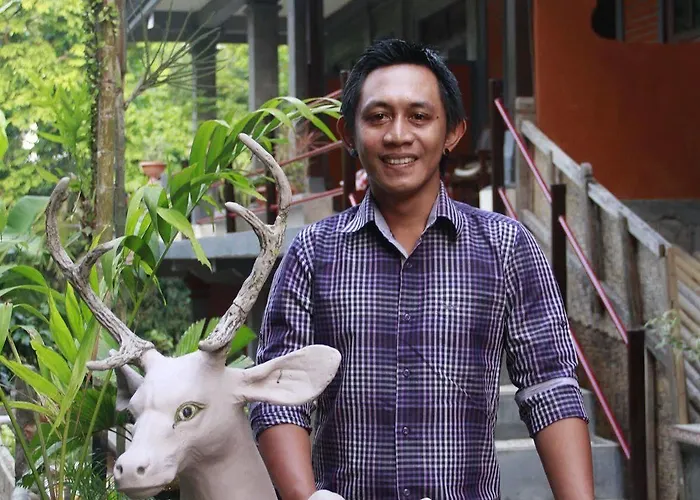 Pensionat Citrus Tree - Arik *