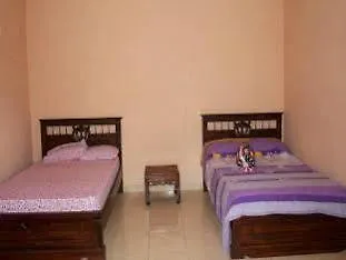 Citrus Tree - Arik Pensionat Ubud