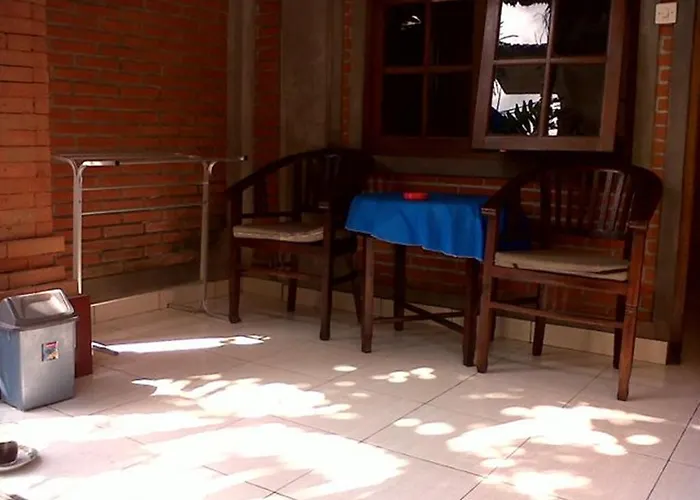 Citrus Tree - Arik Pensionat