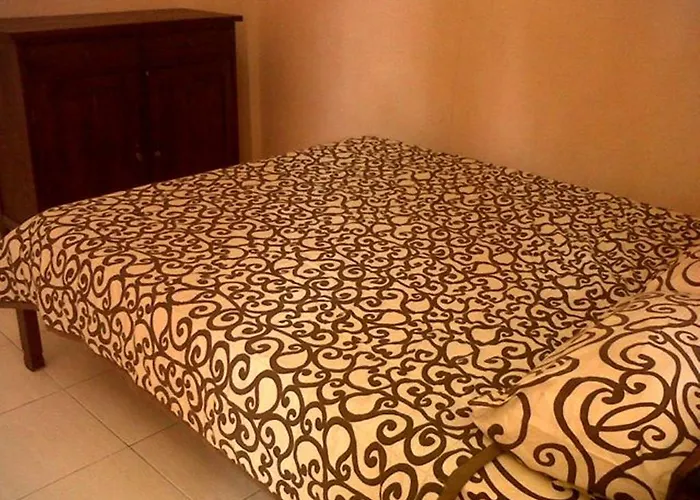 Citrus Tree - Arik Pensionat *