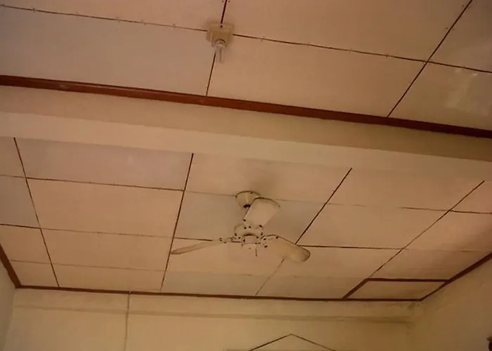 Гостевой дом Citrus Tree - Arik