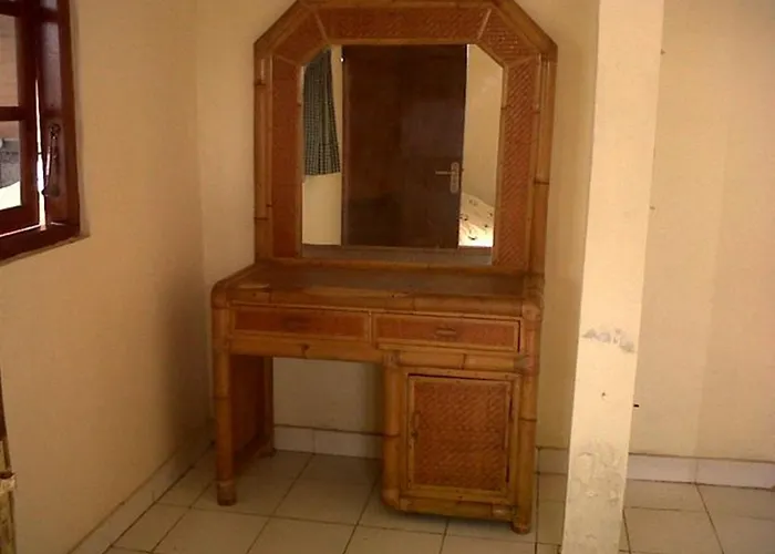 Citrus Tree - Arik *