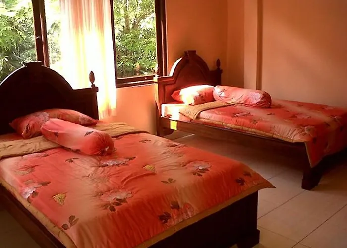 Pensionat Citrus Tree - Arik *