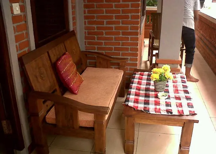 Pensionat Citrus Tree - Arik