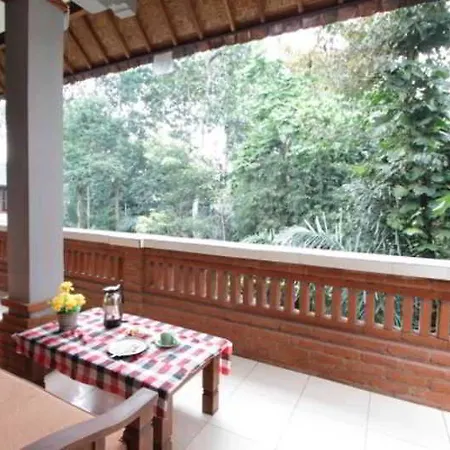 Citrus Tree - Arik Gasthof