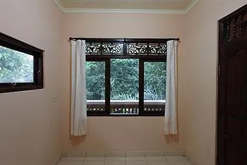 Citrus Tree - Arik 乌布