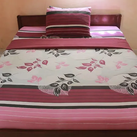 Citrus Tree - Arik ゲストハウス