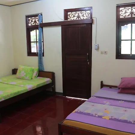 Citrus Tree - Arik Gasthof *