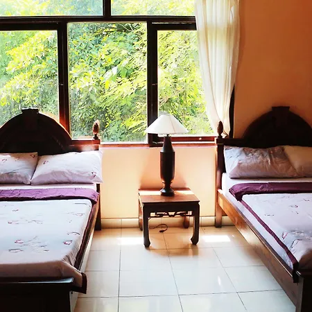 Citrus Tree - Arik ウブド