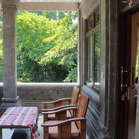 Citrus Tree - Arik * Ubud