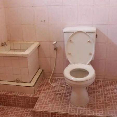 Citrus Tree - Arik *