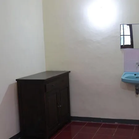 Gasthof Citrus Tree - Arik