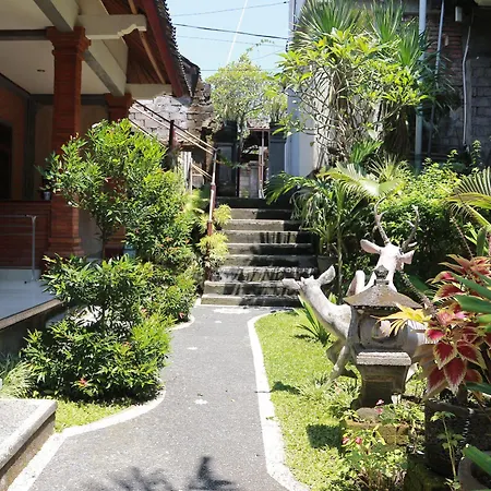 Gasthof Citrus Tree - Arik