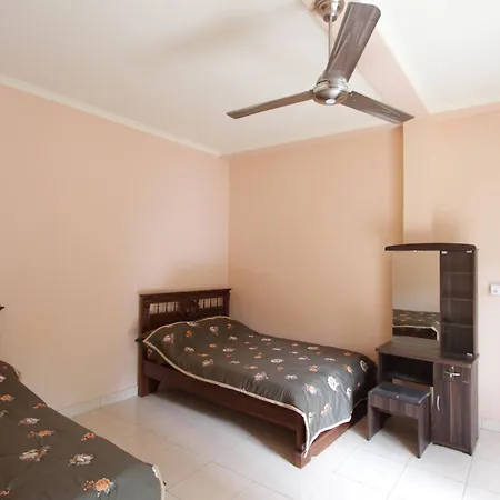 Citrus Tree - Arik Gasthof