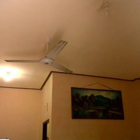 Citrus Tree - Arik ウブド