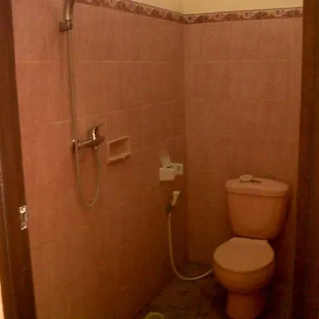 Citrus Tree - Arik *