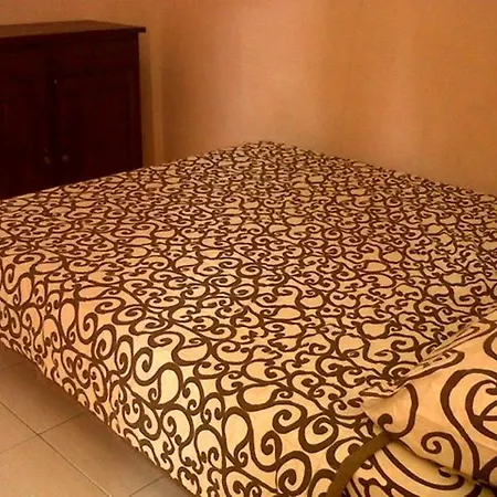 Citrus Tree - Arik Gasthof *