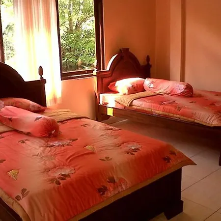 ゲストハウス Citrus Tree - Arik *