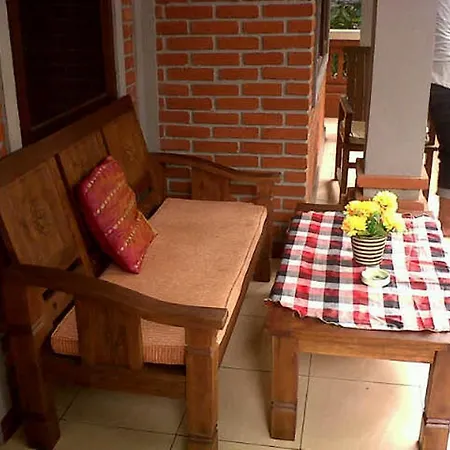 Gasthof Citrus Tree - Arik