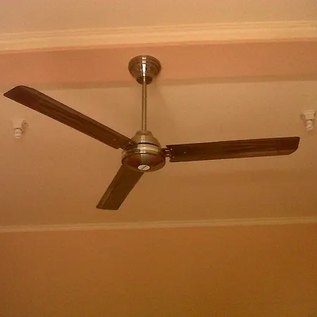 Citrus Tree - Arik ウブド