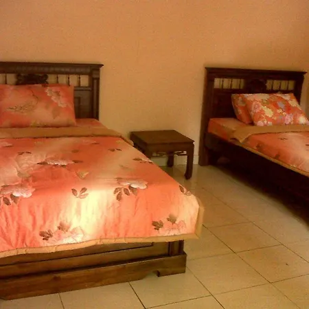 Citrus Tree - Arik Gasthof