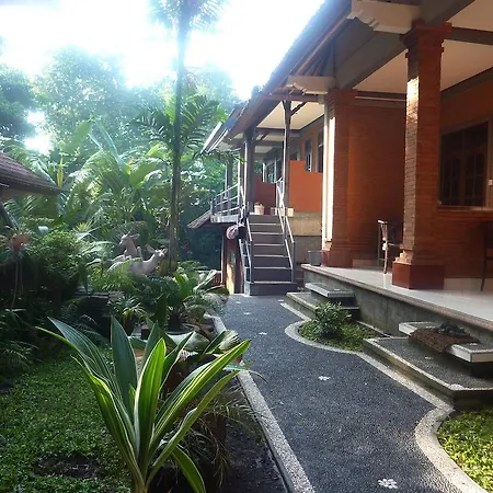 Citrus Tree - Arik * Ubud