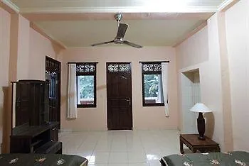 Citrus Tree - Arik Ubud