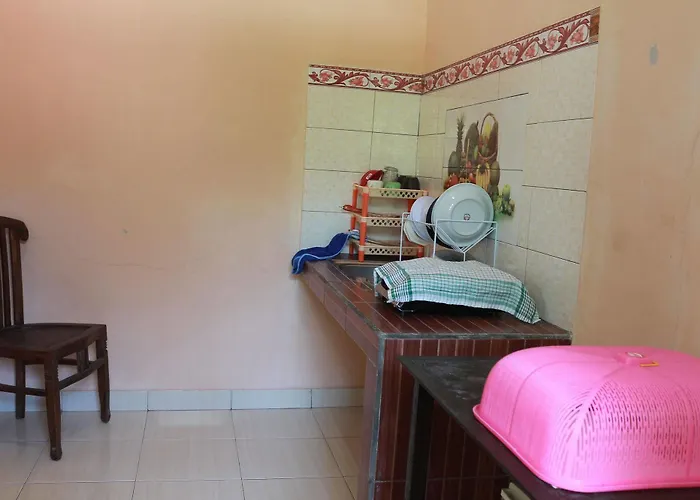 Citrus Tree - Arik Ubud