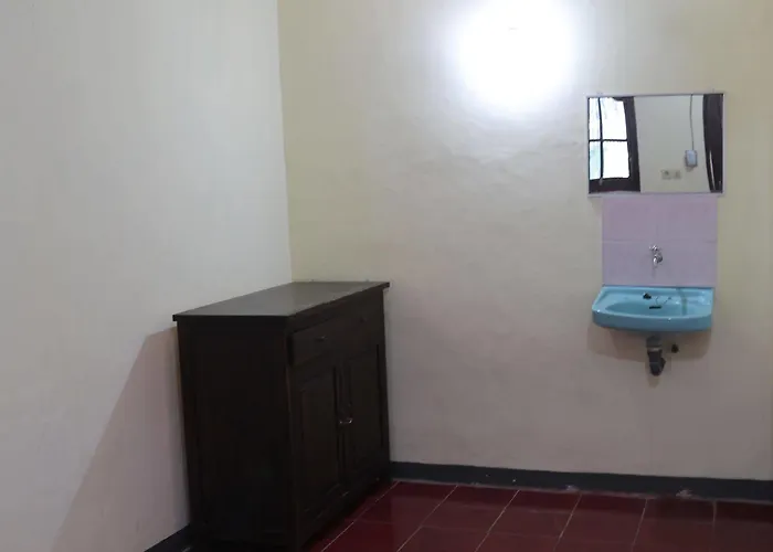 Penzion Citrus Tree - Arik