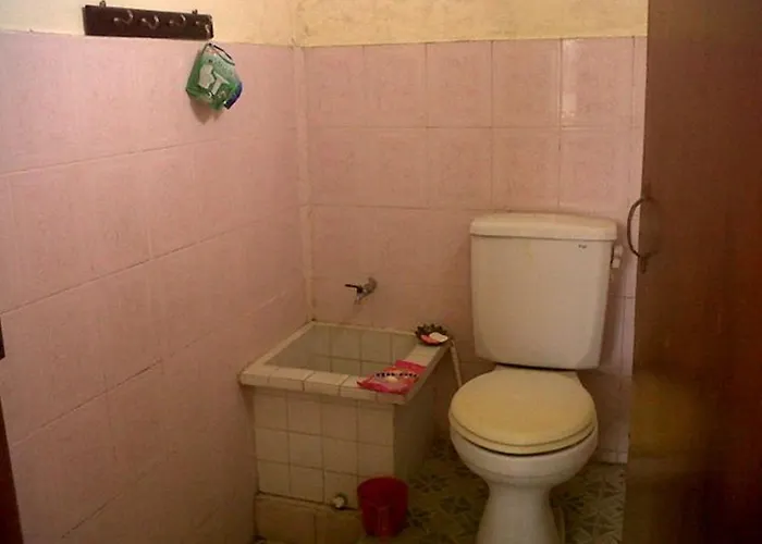 Gasthuis Citrus Tree - Arik Ubud