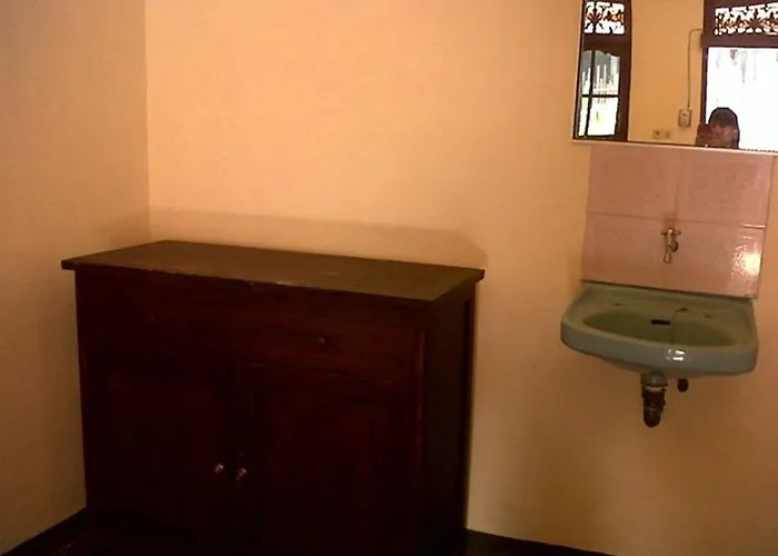 Penzion Citrus Tree - Arik