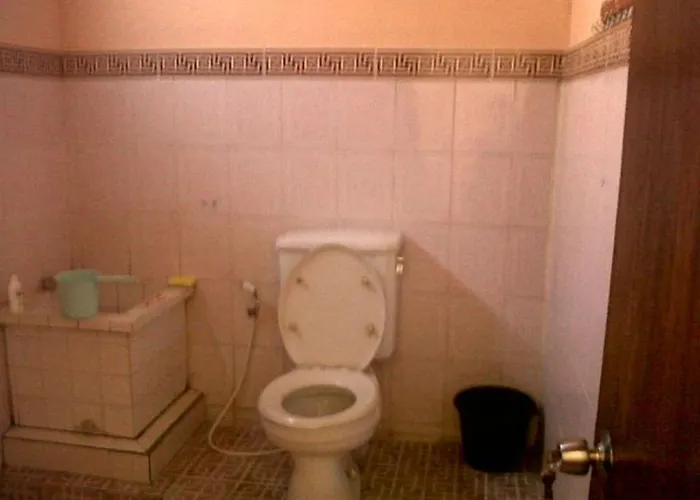 Citrus Tree - Arik Gasthuis Ubud