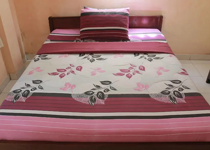 Citrus Tree - Arik Konukevi